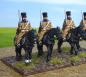 Preview: Russian Hussars in greatcoat