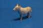 Preview: Donkey