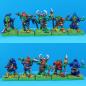 Preview: Goblin Regiment - 13 Figuren