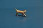Preview: Cat