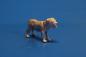 Preview: Dog 2 "Mastiff"