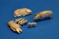 Preview: Set Pigs