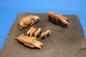 Preview: Set Pigs