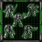 Preview: Assault Star Rogues - Marines Squad