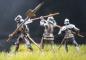 Preview: Knights in battle Set N