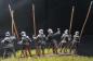 Preview: Pikemen Set M