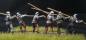 Preview: Pikemen Set G