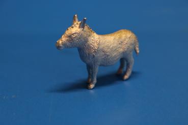 Donkey