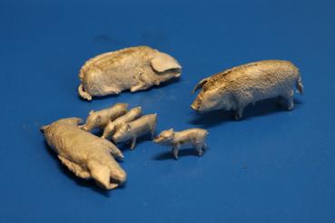 Set Pigs