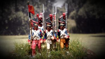 French Grenadiers of the 8th line