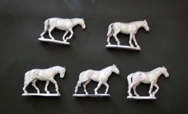 Fünf Pferde im Set
