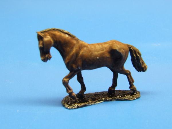 Pferd 5 gehend