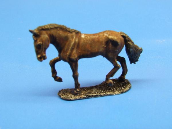 Pferd 6 gehend