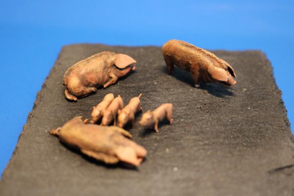 Set Pigs