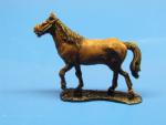 Horse 7 walking